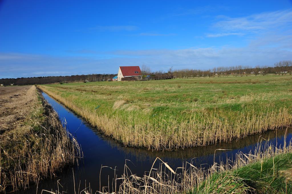 Witte Weelde Texel Bed & Breakfast De Koog  Exterior photo